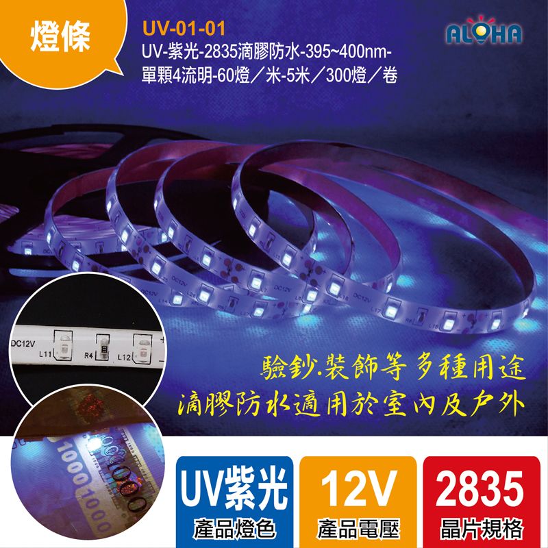 UV-紫光-2835滴膠防水-395~400nm-單顆4流明-60燈／米-5米／300燈／卷